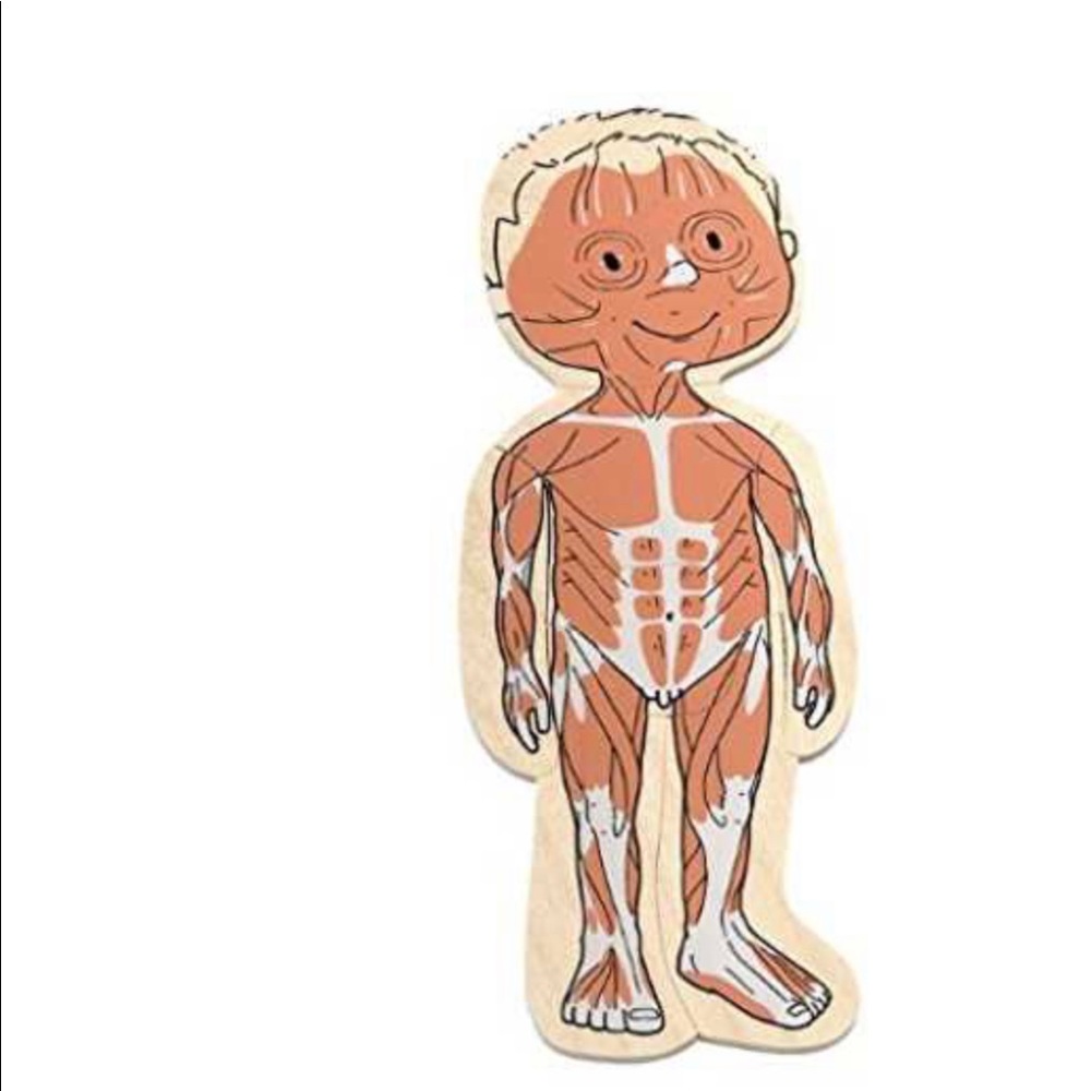 New Hape by Beleduc 5-Layer wooden Body Puzzle - Picture 4 of 11